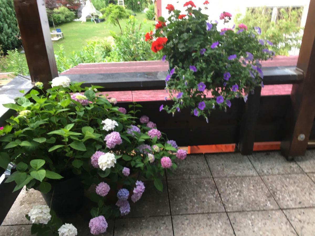Appartement Straninger Am Achensee マウラッハ エクステリア 写真